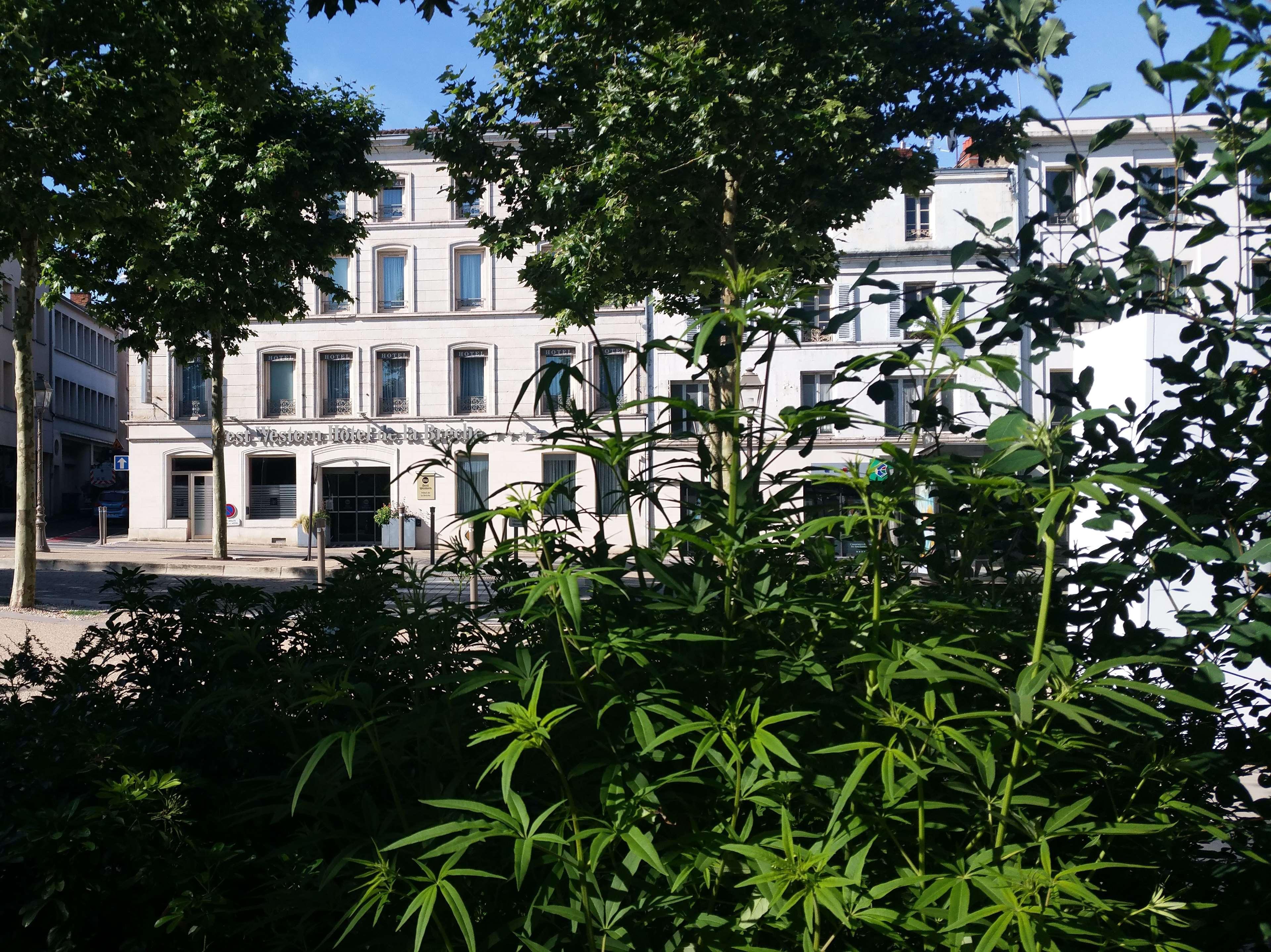Best Western Hotel De La Breche Νιόρ Εξωτερικό φωτογραφία
